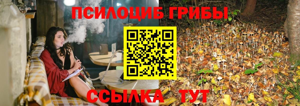 Моршанск  Галлюциногенные грибы ЛСД  Вход с VPN  Псилоцибиновые грибы Cubensis 