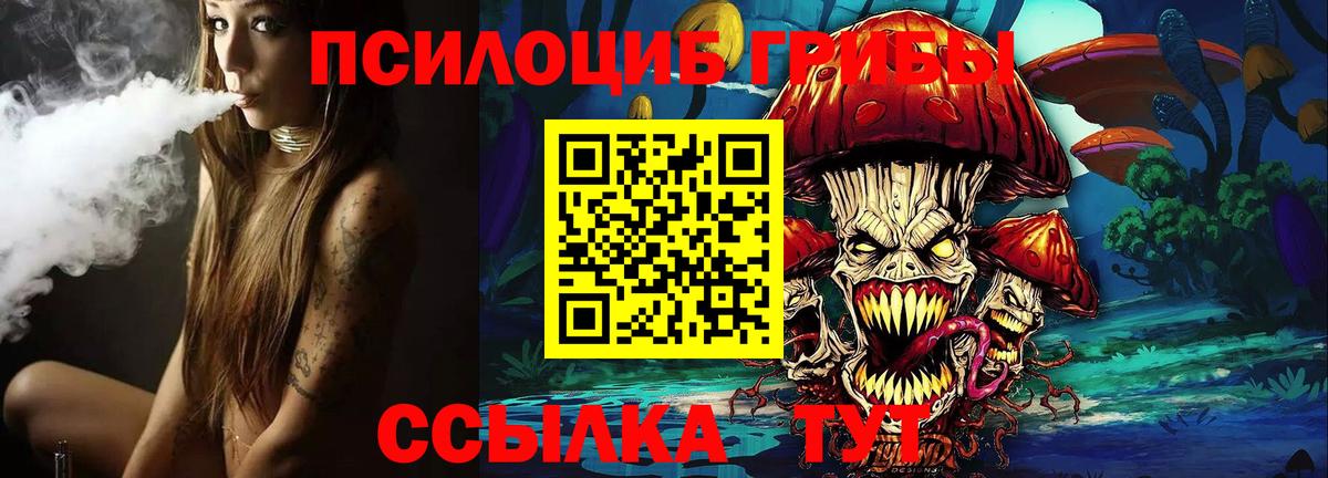 Псилоцибиновые грибы Psilocybine cubensis Моршанск